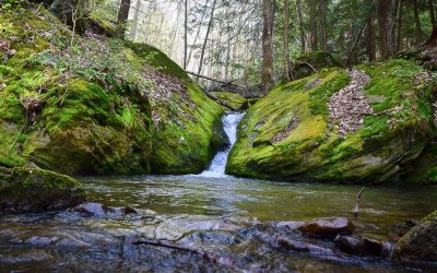 What happened to Laurel Run? The story of a stocked trout stream and a fisherman