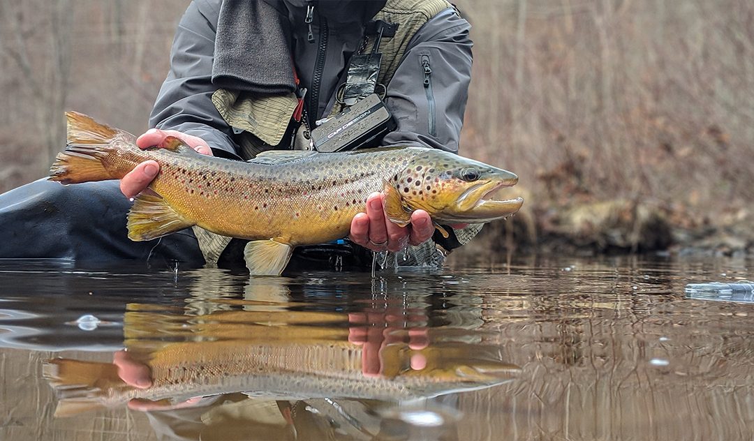 Where to find Big Trout | Part Four: The Permanent Structure