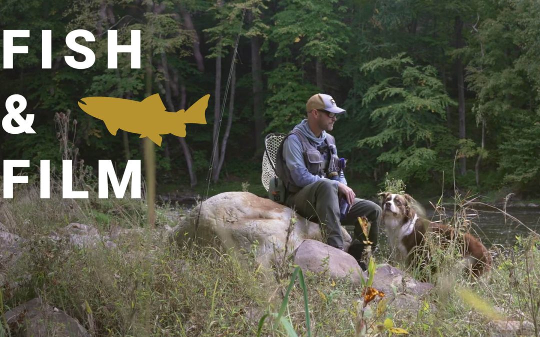 Fish and Film — Crossover Shifts (VIDEO)