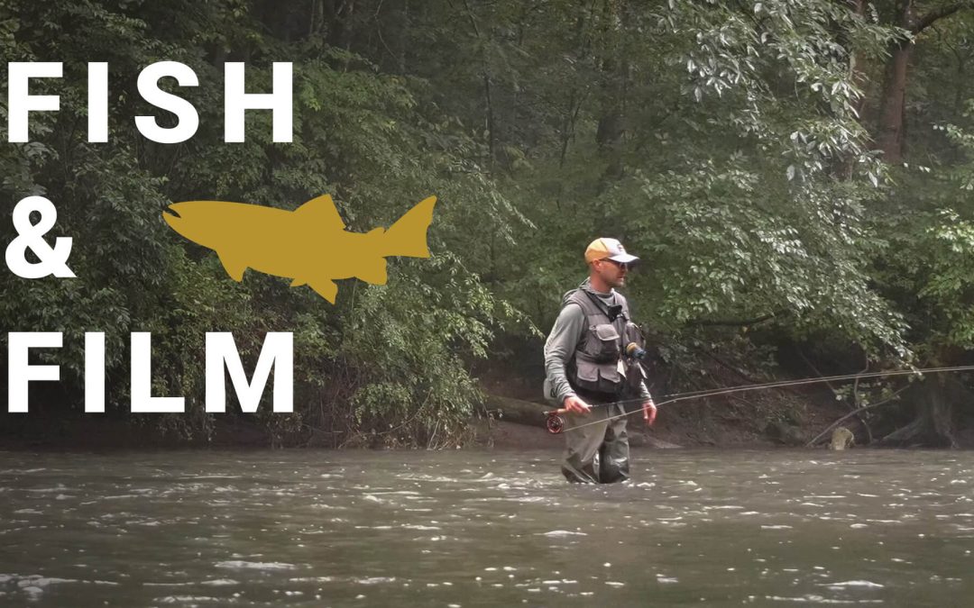 Fish and Film — Home Waters – Terrestrial Dries and Terrestrial Nymphs (VIDEO)