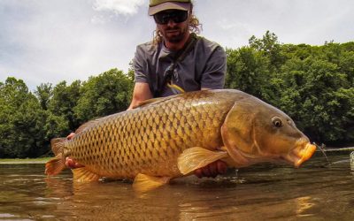 The Rocket School Of Carpin’ | When it’s too hot for trout