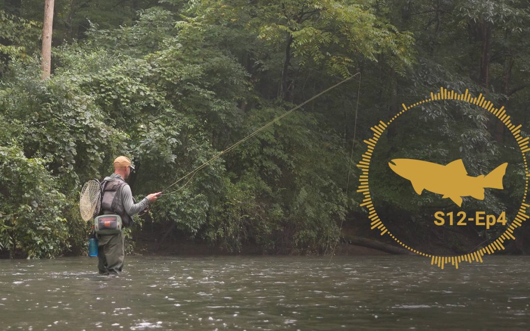 PODCAST: Dry Fly Skills Series #3 — Casting and Mending — S12, Ep4