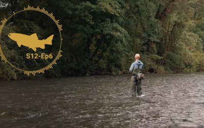 PODCAST: Dry Fly Skills Series #6 — Rise Forms and Hook Sets — S12, Ep6