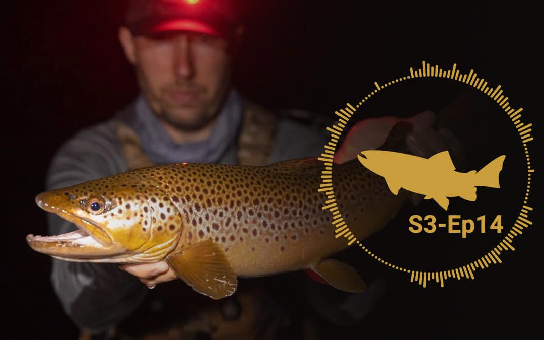 Podcast: An Introduction to Night Fishing for Trout — S3-Ep14