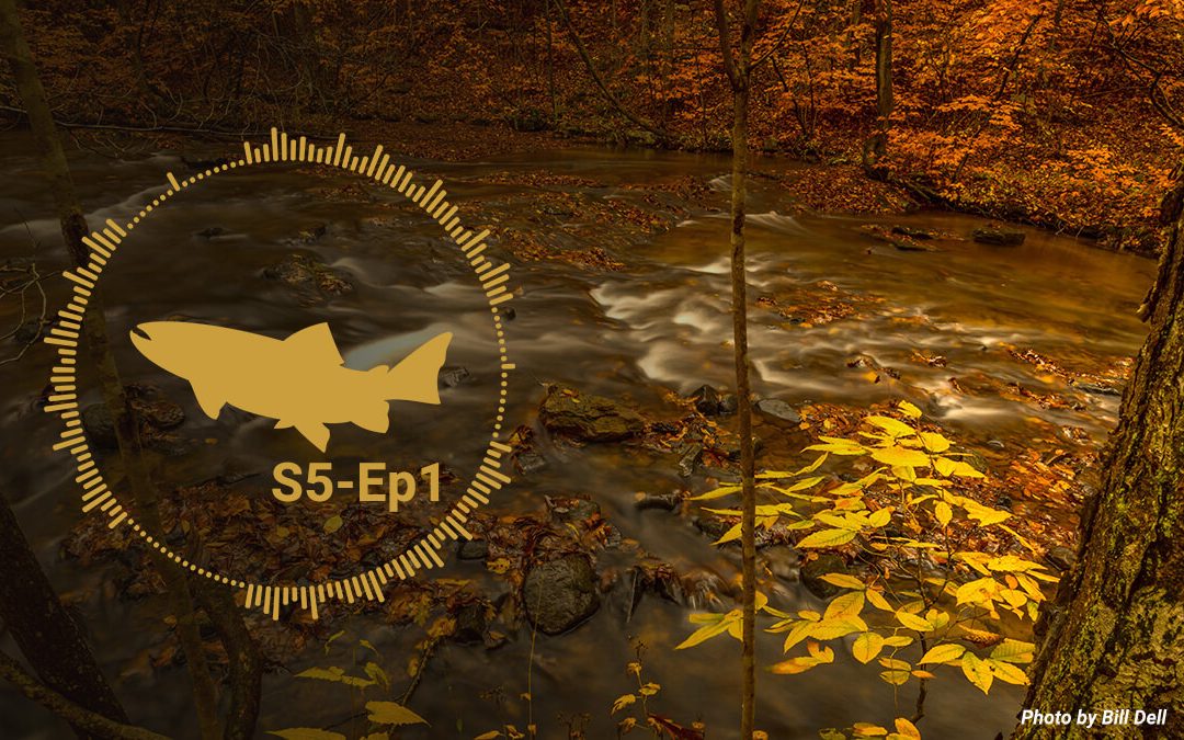 Podcast: Fly Fishing Through the Fall Season — S5, Ep1