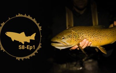 PODCAST: Night Fishing for Trout: People, Places and Things — S8, Ep1