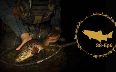 PODCAST: Night Fishing for Trout — Nymphs, Wets and Pushers — S8, Ep6