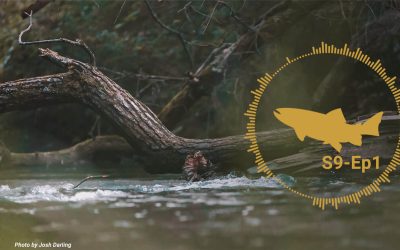 PODCAST: How Has Fly Fishing Changed? — S9, Ep1