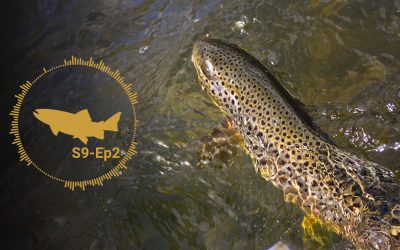 PODCAST: Trout Fishing and the Spawn — S9, Ep2