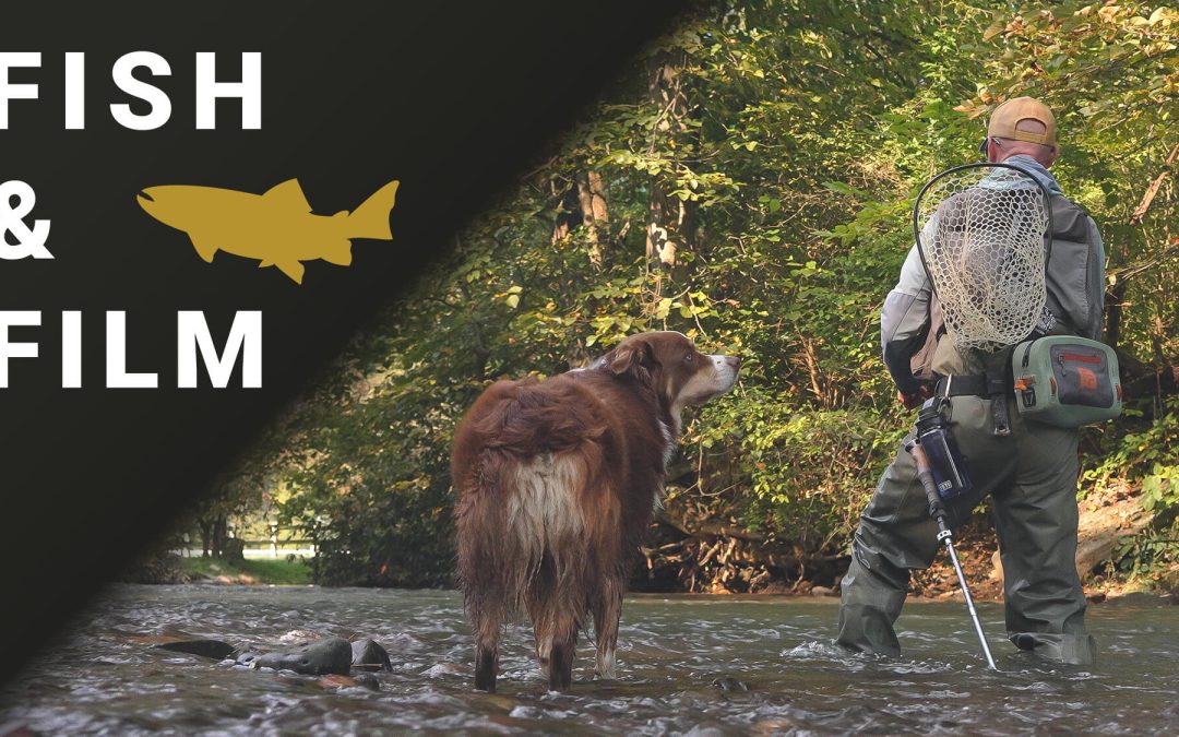 Fish and Film — Tight Line Nymphing and Tight Line to the Indicator (VIDEO)