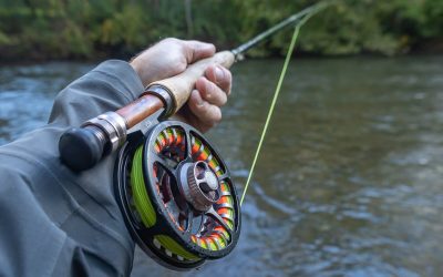 Sensitivity in a Fly Rod — Two Very Different Ways