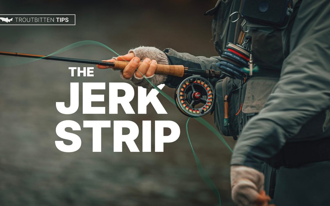 The Jerk Strip – Streamer Presentations VIDEO