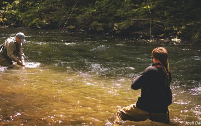 Fifty Fly Fishing Tips: #10 — Mend Less