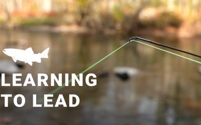 Learning To Lead Nymphs On A Tight Line System