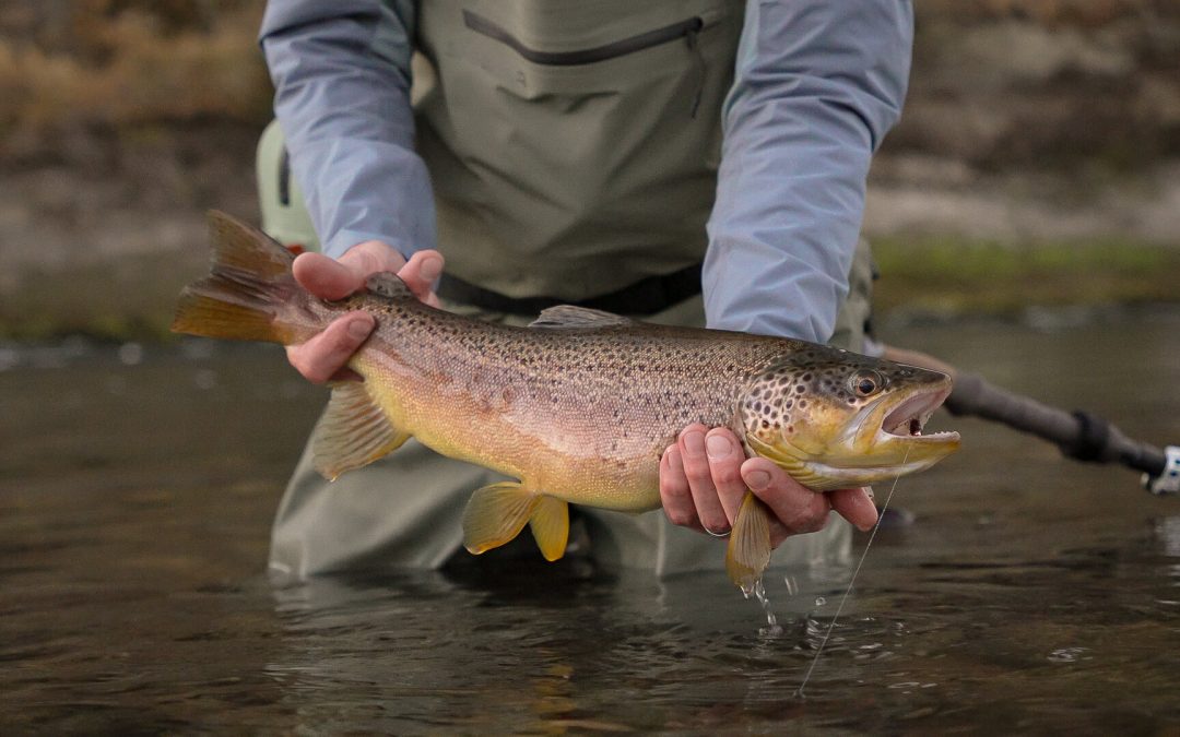 Patagonia Nymphing