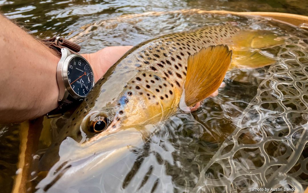 Land With Contact or Without, When Using a Tuck Cast — Tight Line and Euro Nymphing