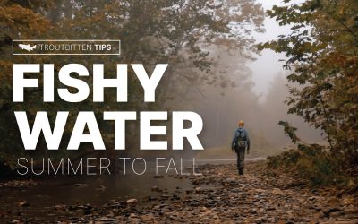 VIDEO: Fishy Water — Summer to Fall