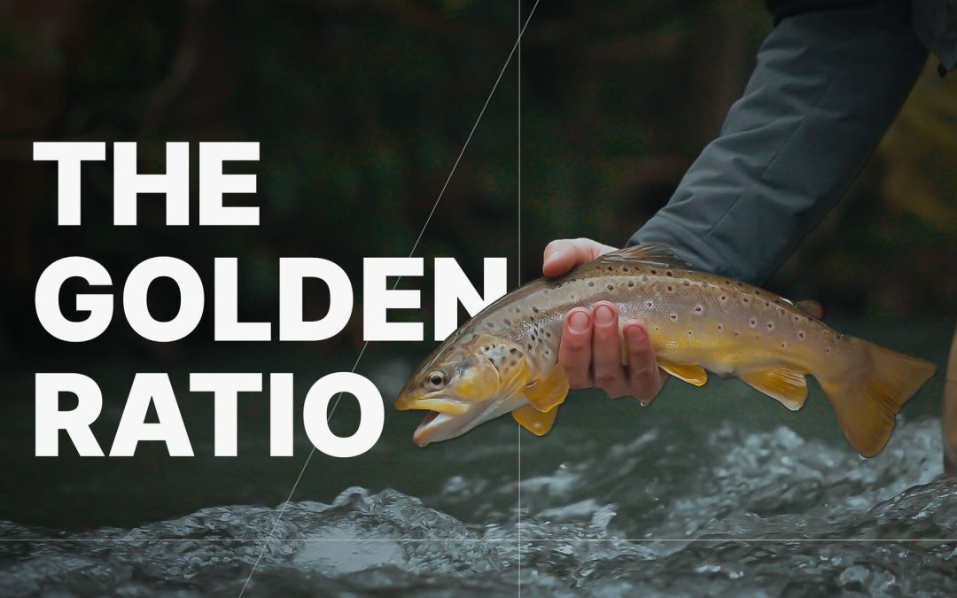 VIDEO: The Golden Ratio of Nymphing