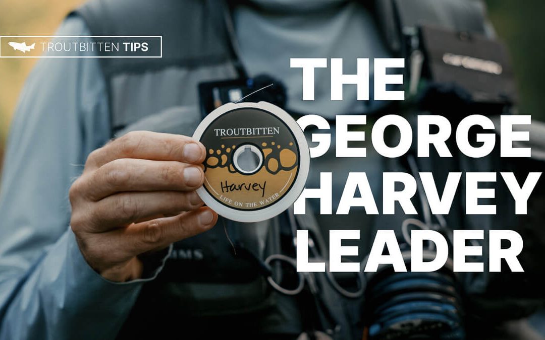 (VIDEO)  The George Harvey Dry Fly Leader — Design, Adjustment and Fishing Tips