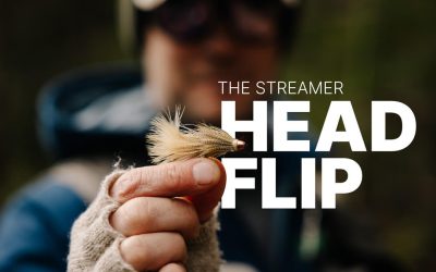 The Streamer Head Flip VIDEO