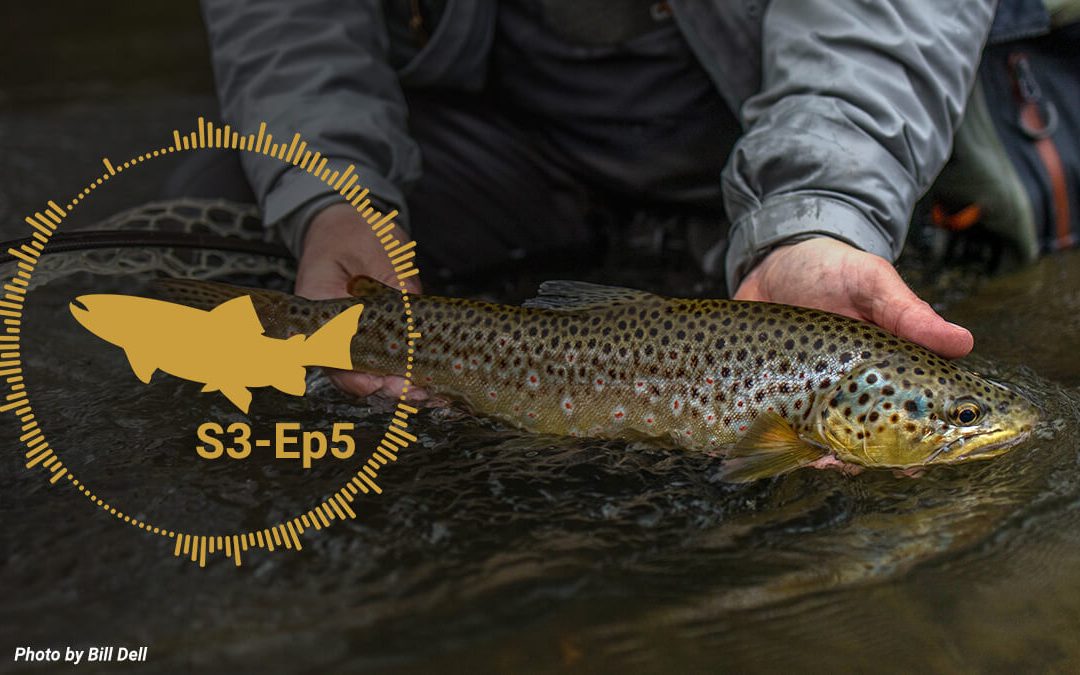 Podcast: Find Feeding Fish — Exploring Water Types and More — S3-Ep5