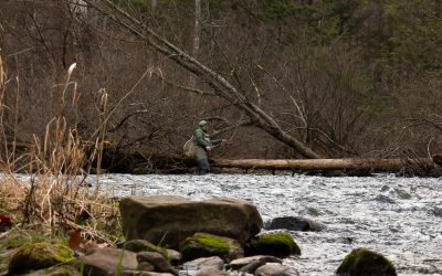 Tight Line Nymphing — Contact Can Be Felt at the Rod Tip