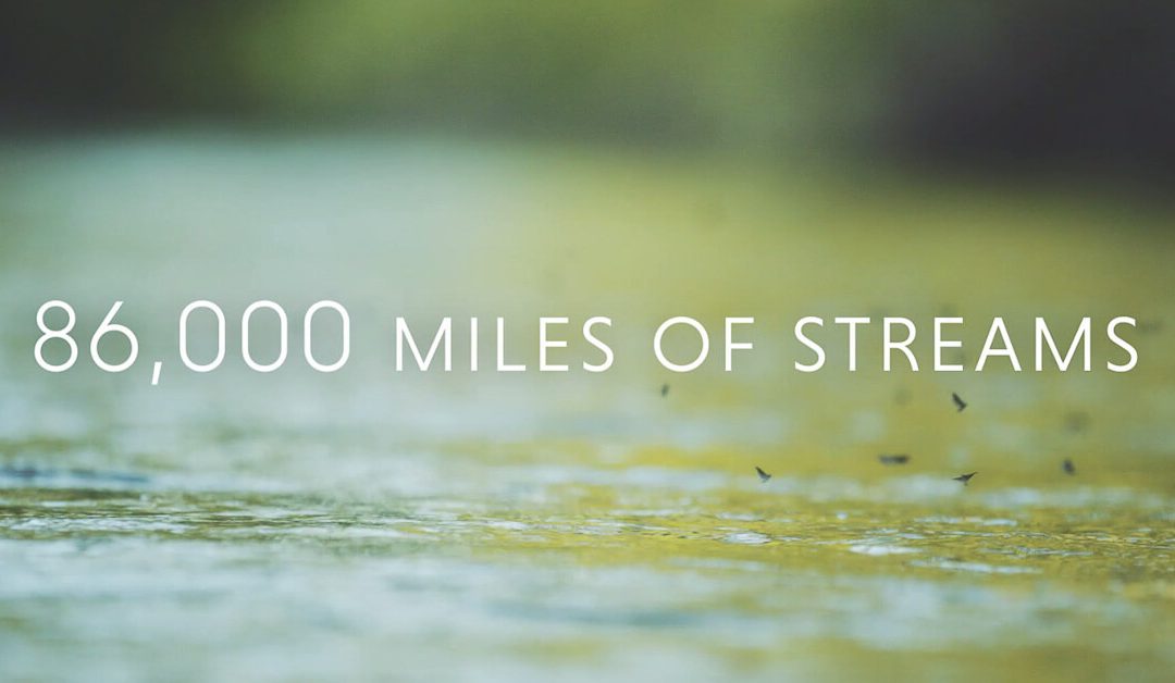 Streamside | 86,000 Miles and the Unassessed Waters Initiative