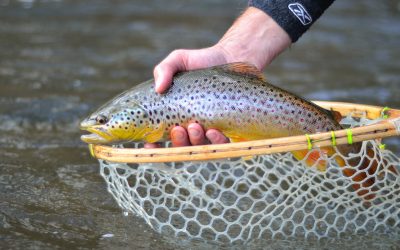 Tight Line Nymphing with an Indicator — A Mono Rig Variant