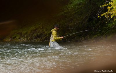 #8. The Strike: Nine Essential Skills for Tight Line and Euro Nymphing