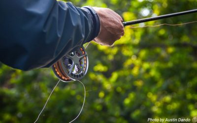 Fly Fishing Quick Tips — Put the fish on the reel