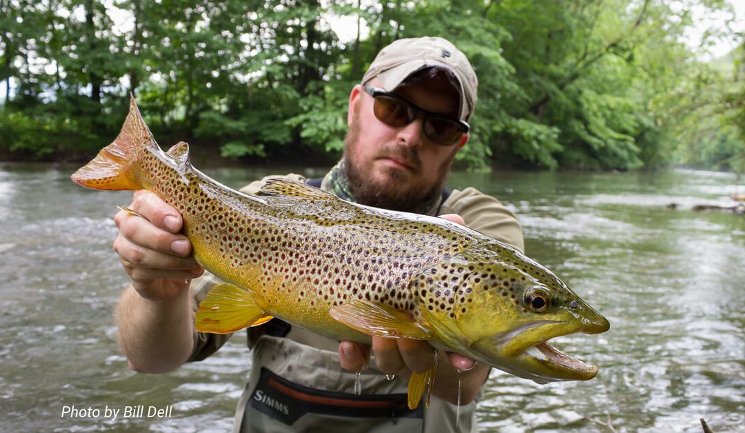 Fifty Fly Fishing Tips: #50 — Fish Hard