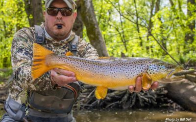 What does it take to catch a big trout?