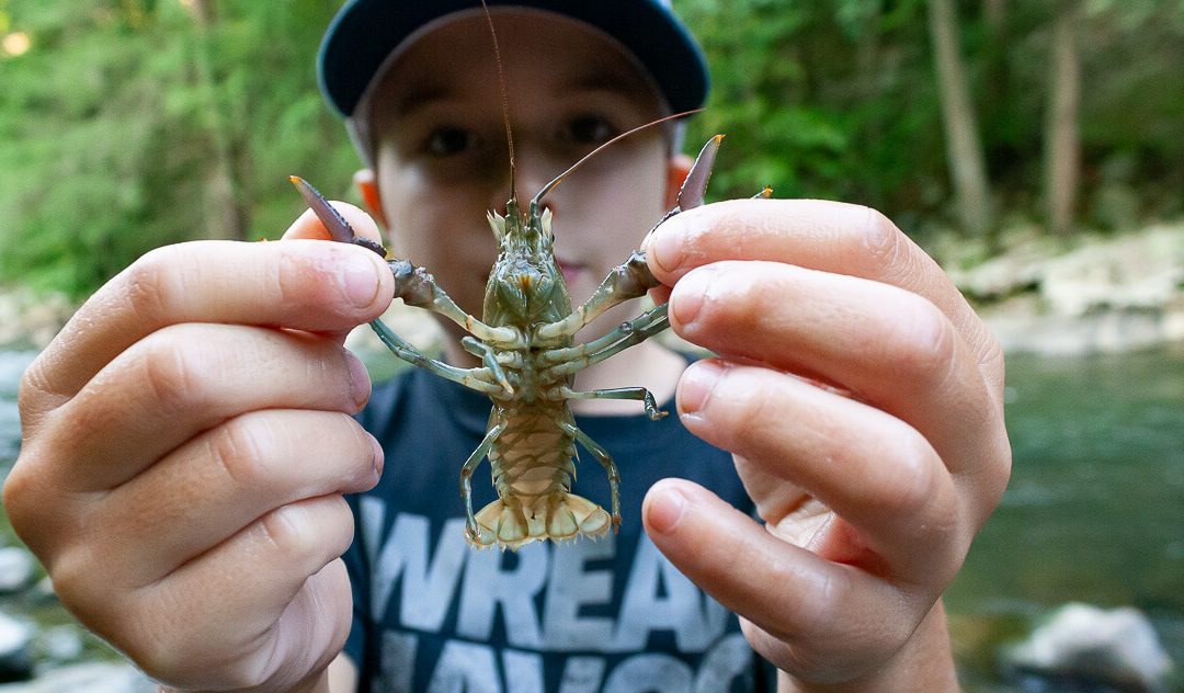 Fishing With Kids — Connections