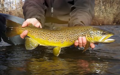 Fifty Fly Fishing Tips: #18 — Imagine a Target — Fish to the Fish