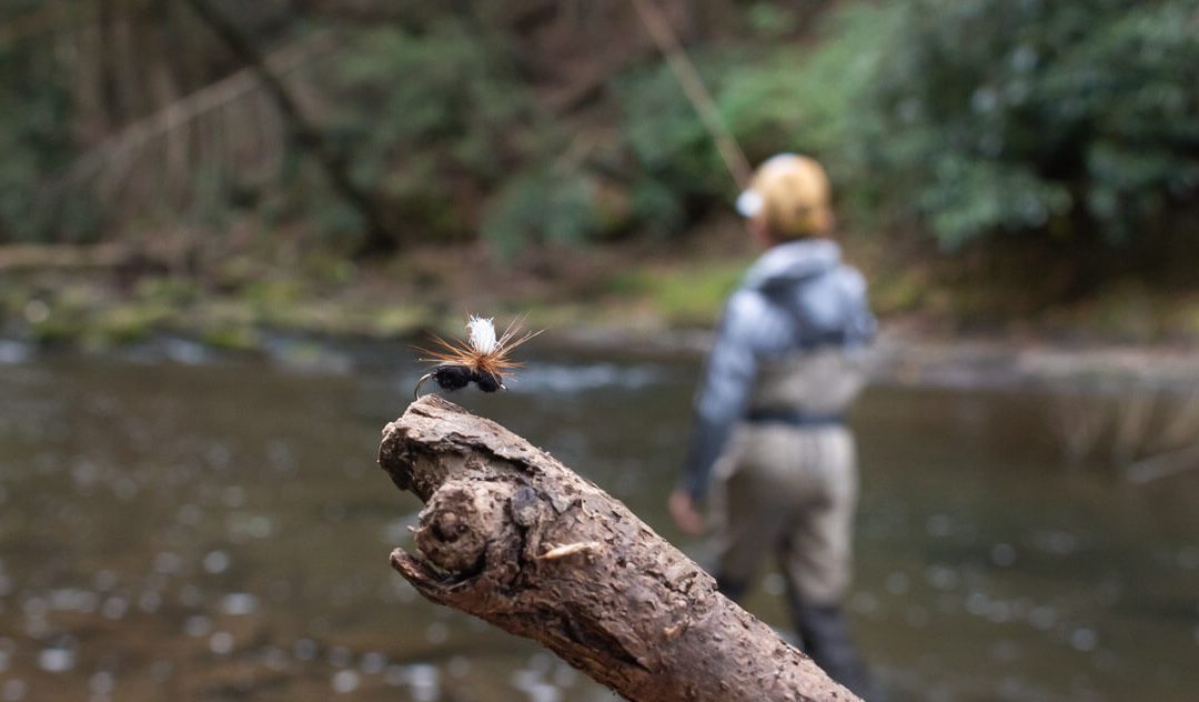 Two Ways to Splat a Terrestrial Dry Fly and Follow It With a Dead Drift