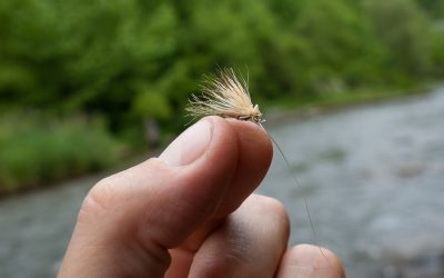 Fifty Fly Fishing Tips: #45 — The Dry Fly is a Scout