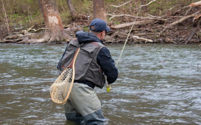 Fifty Fly Fishing Tips: #41 — Face Upstream