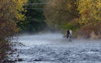 Tips for Better Wading and More Trout