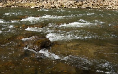 Reading Water — Every Rock Creates Five Seams