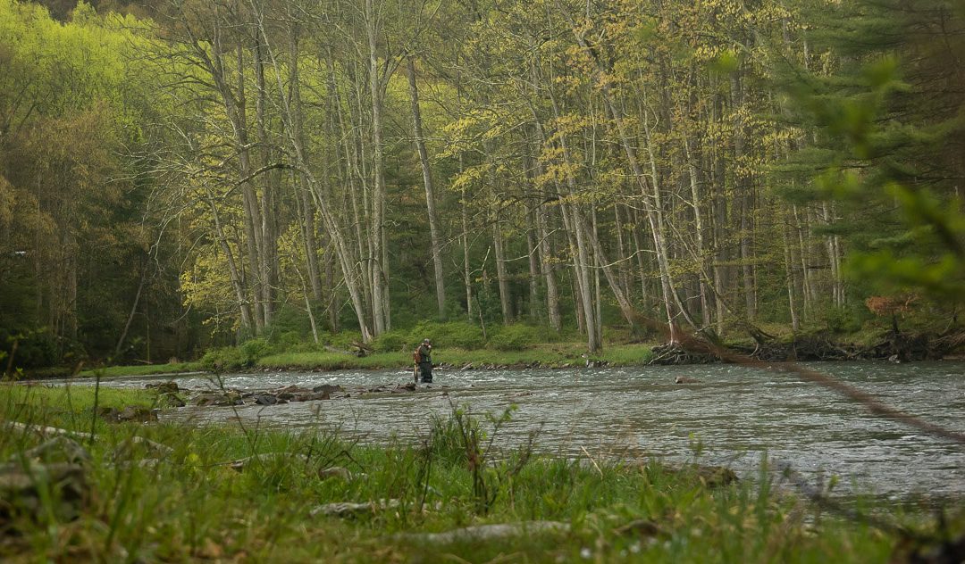 Why Everyone Fishes the Same Water — And What to Do About It