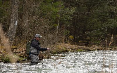 The Tight Line Advantage Across Fly Fishing Styles