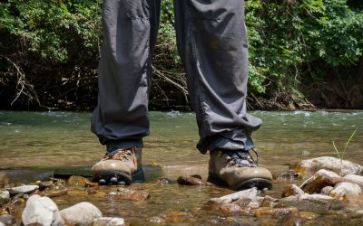 Wet Wading Gear and a System for Fly Fishers