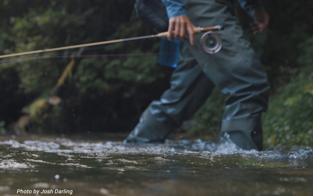 Eating On The Drop — How and Why Trout Eat a Falling Fly