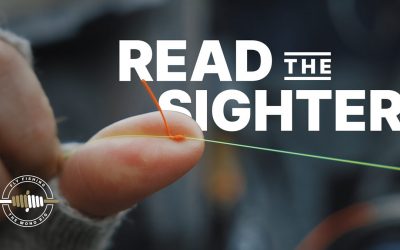 Five Keys to Reading the Sighter (with VIDEO)