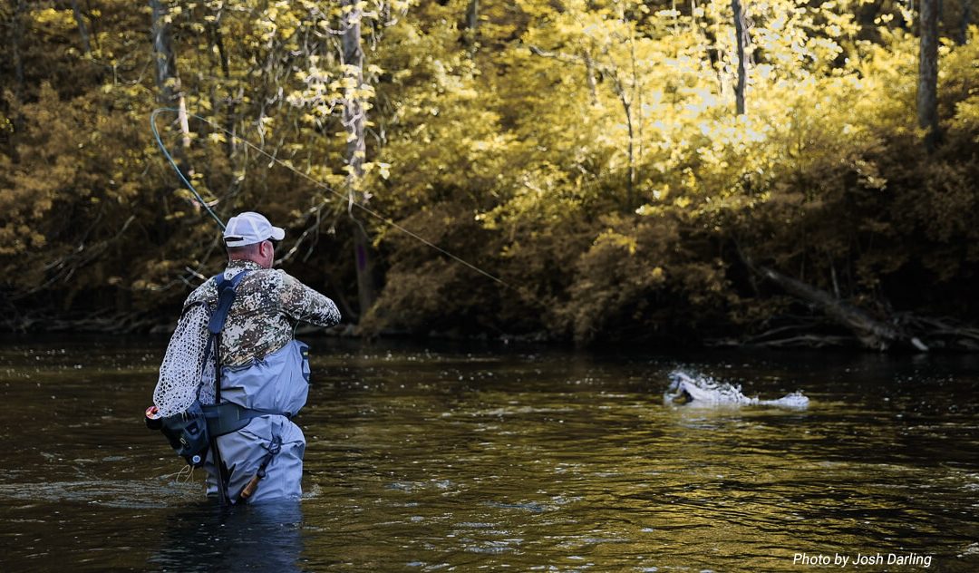 Fighting Big Fish With Side Pressure — What It Is, How To Use It