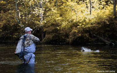 Fighting Big Fish With Side Pressure — What It Is, How To Use It