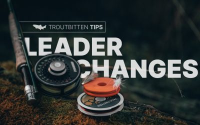 Lightning Fast Leader Changes (with VIDEO)