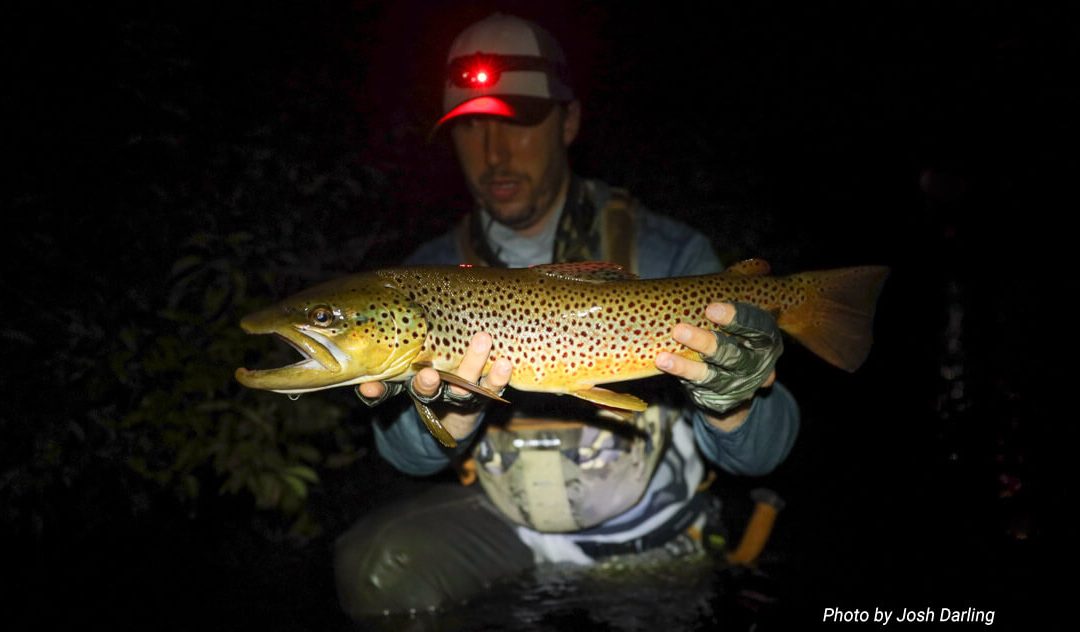 Night Fishing for Trout — Location, Location, Location