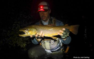 Night Fishing for Trout — Location, Location, Location