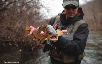 Gear Review: Simms Bulkley Wading Jacket